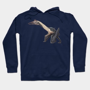 Quetzelcoatlus northropi Hoodie